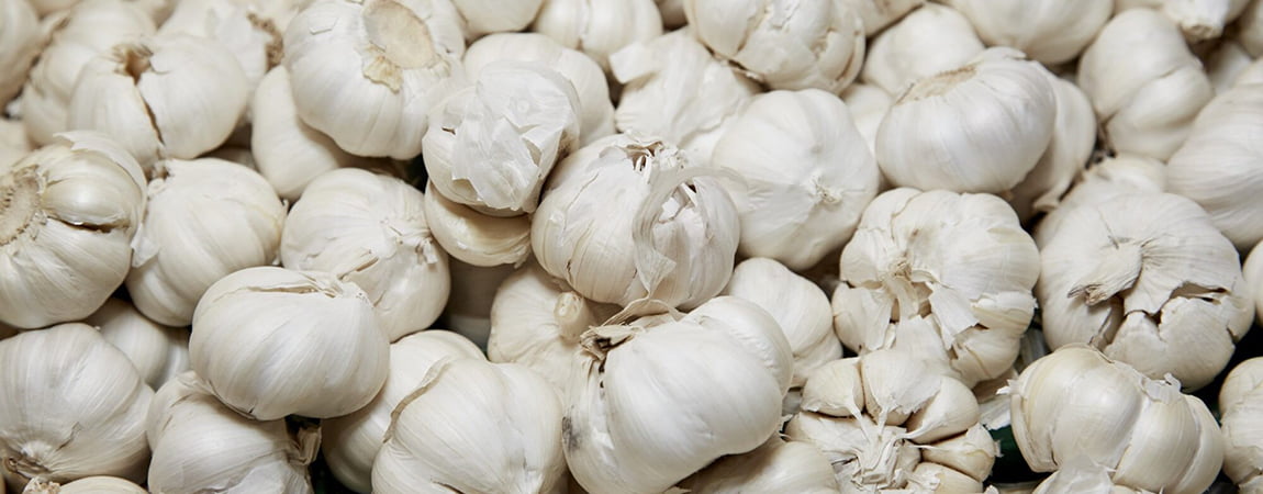 Knoflook